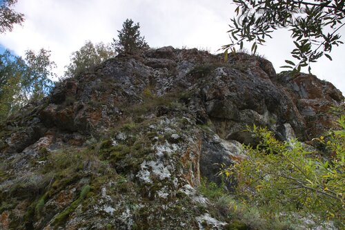 IMG_2678_r